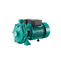 Taifu Double Brass Impellers Pump 3HP 2TCP25/160A