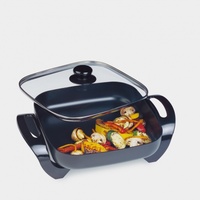 Maxim Family Frypan BR01