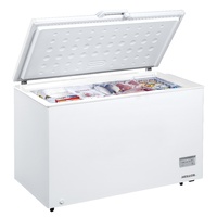 Heller 316L Chest Freezer CFH316