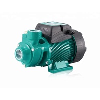 Taifu QB60 Pump