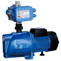Rural Max Garden Pressure Pump with Automatic Pressure Control RM-JP100-E