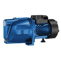 Rural Max Garden Pressure Pump RM-JP100