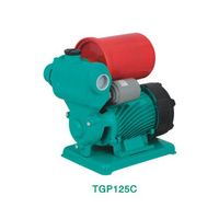 Taifu Self-Priming Peripheral Pump TGP125C