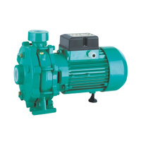 Taifu 2" 3HP Centrifugal Pump THF6B-3